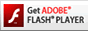 Get the Adobe Flash Player
